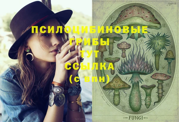 Альфа ПВП Осинники
