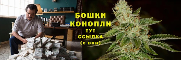 Альфа ПВП Осинники